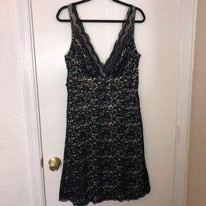 White House Black Market Lace Dress Size 10